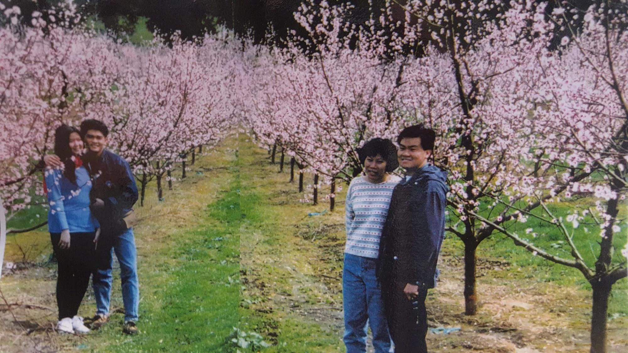 Waitomo Orchard Estate B&B Otorohanga Eksteriør billede